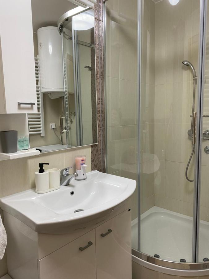 Zlatibor Apartman Lajd Luaran gambar